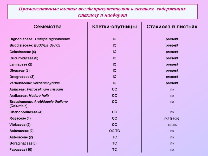 Промежуточные клетки всегда присутствуют в листьях, содержащих стахиозу и наоборот